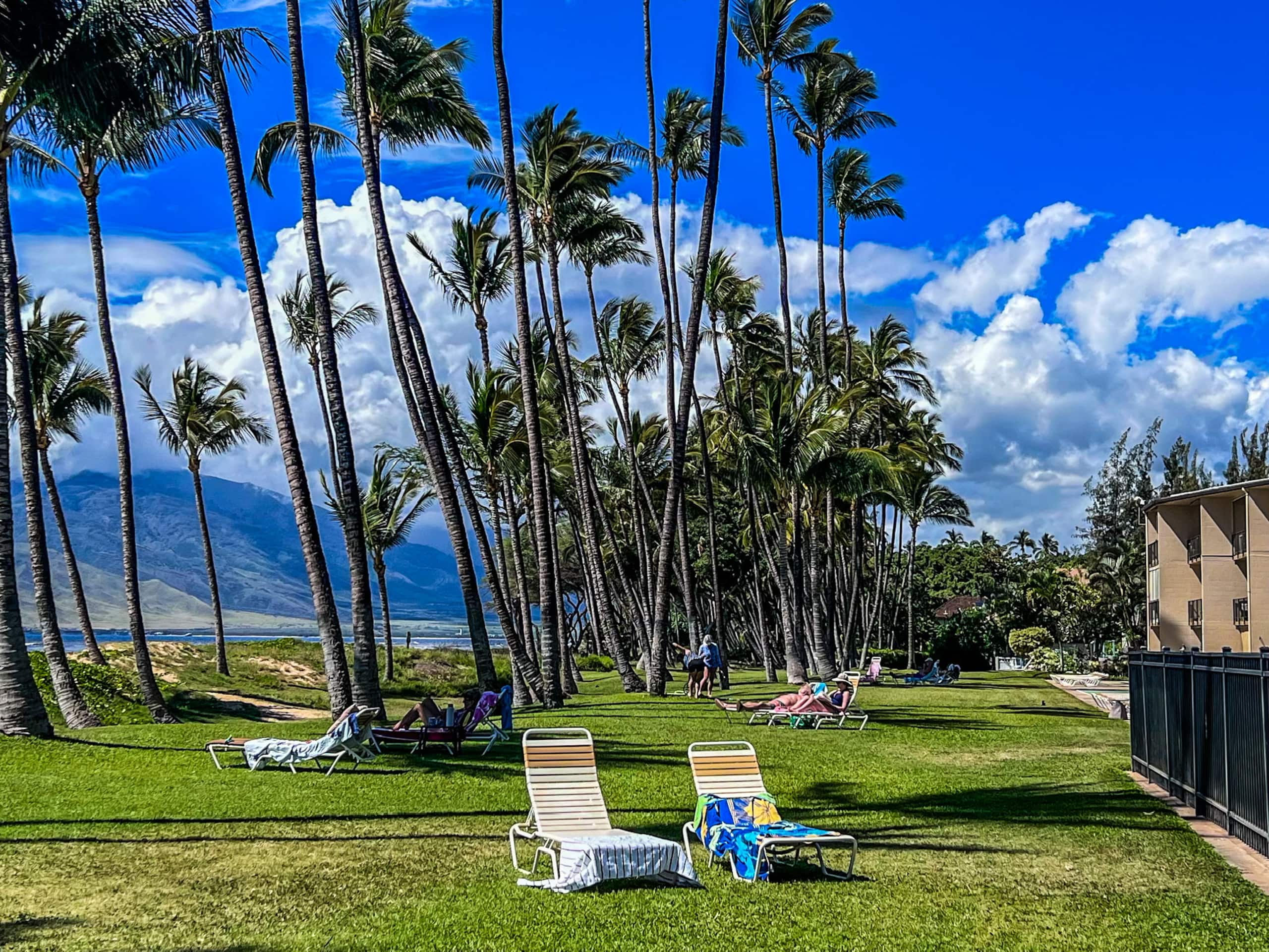 Condo in Kihei · ★4.95 · 1 bedroom · 3 beds · 1 bath - Image 26