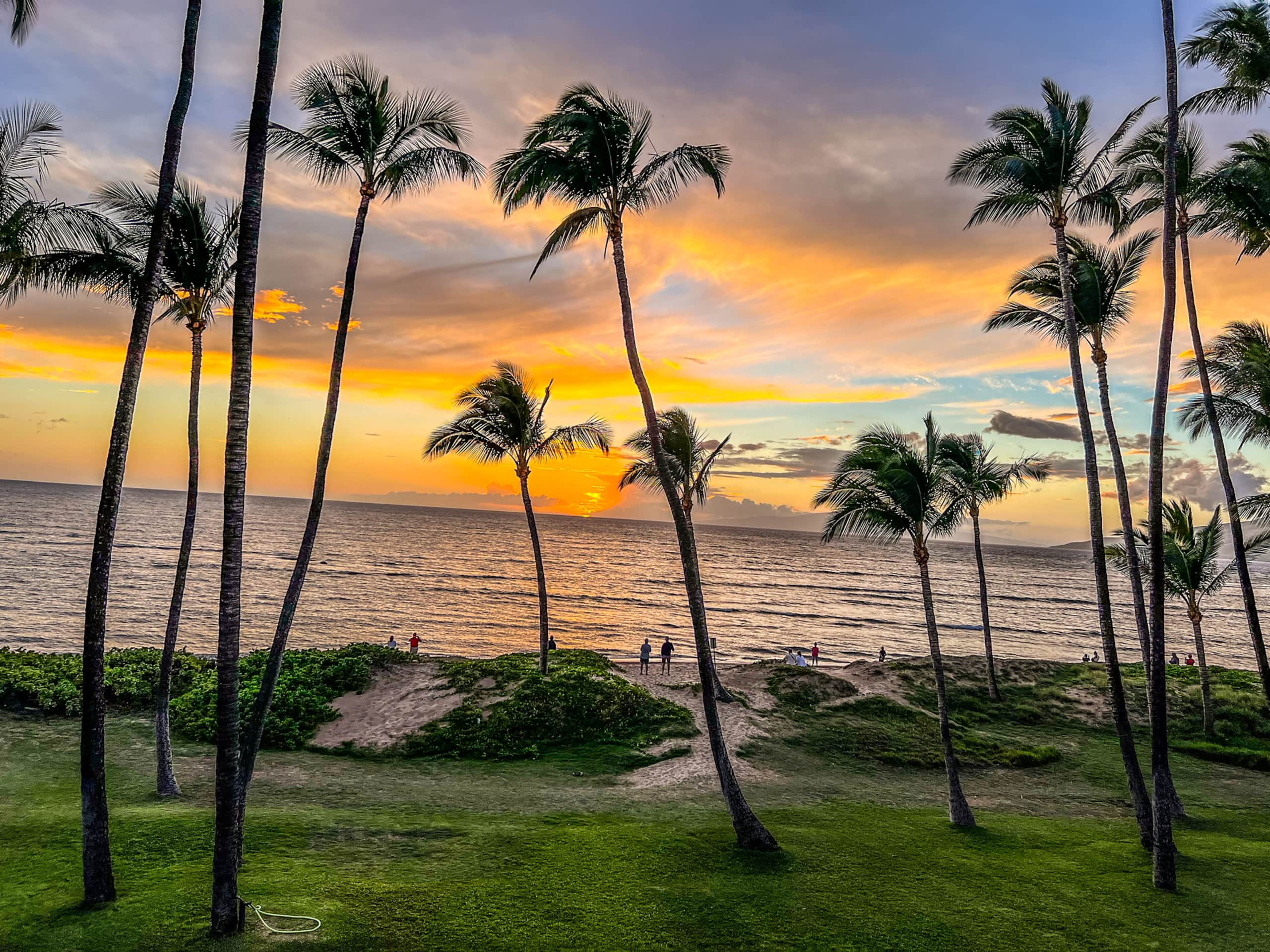 Condo in Kihei · ★4.95 · 1 bedroom · 3 beds · 1 bath - Image 20