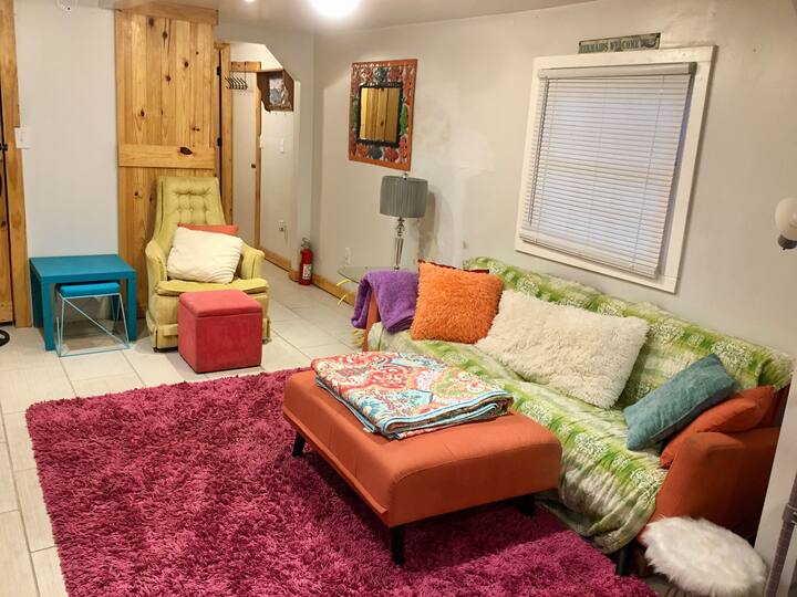 The Retro in Ludowici Tiny houses for Rent in Ludowici,