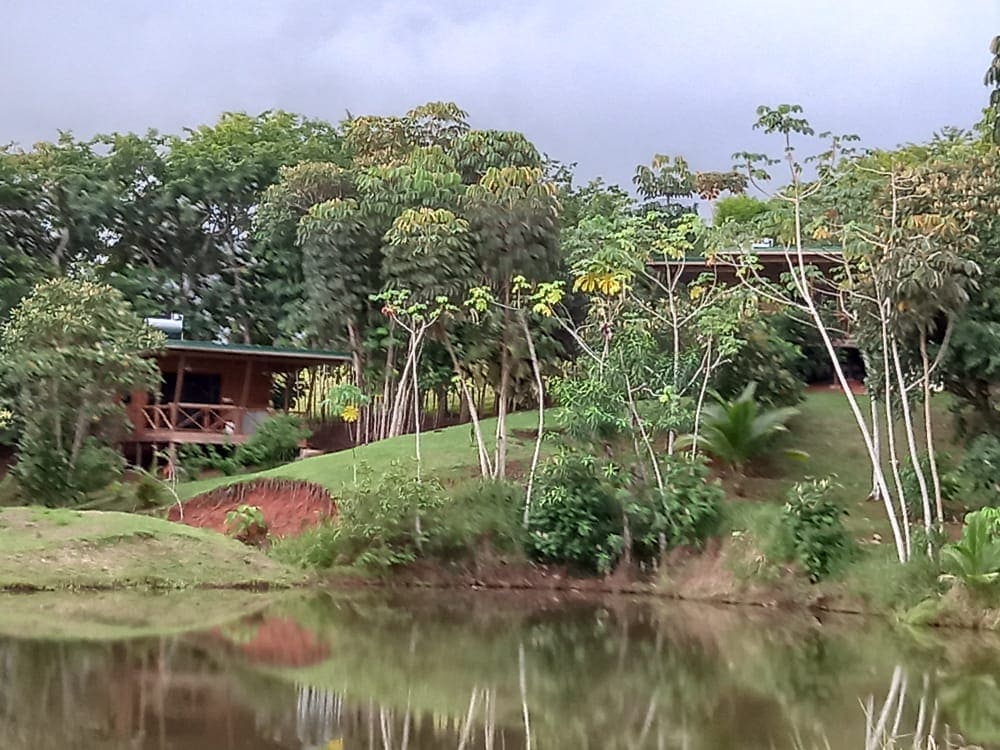 A tranquil lakeside setting is captured, featuring a cabin surrounded by lush greenery. Trees reflect in calm waters, enhancing the natural scenery. A footpath leads to a gently sloping hill, indicating a seamless blend of the structure with its serene environment.