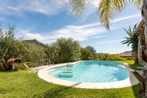 Iris new villa with pool and sea view