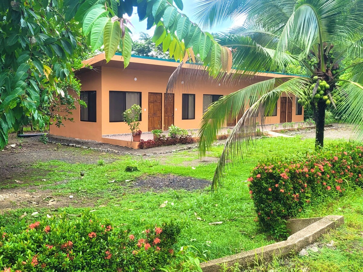 A single-story building features multiple wooden doors with large windows, surrounded by lush green grass and tropical landscaping. Vibrant flowers and palm trees provide a natural border, creating a serene and inviting outdoor environment.