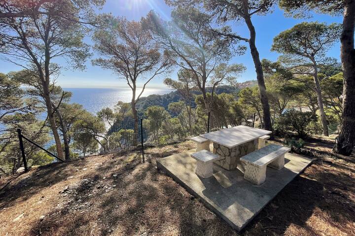 Casa “La Peninsula” LimBagur gallery image 5