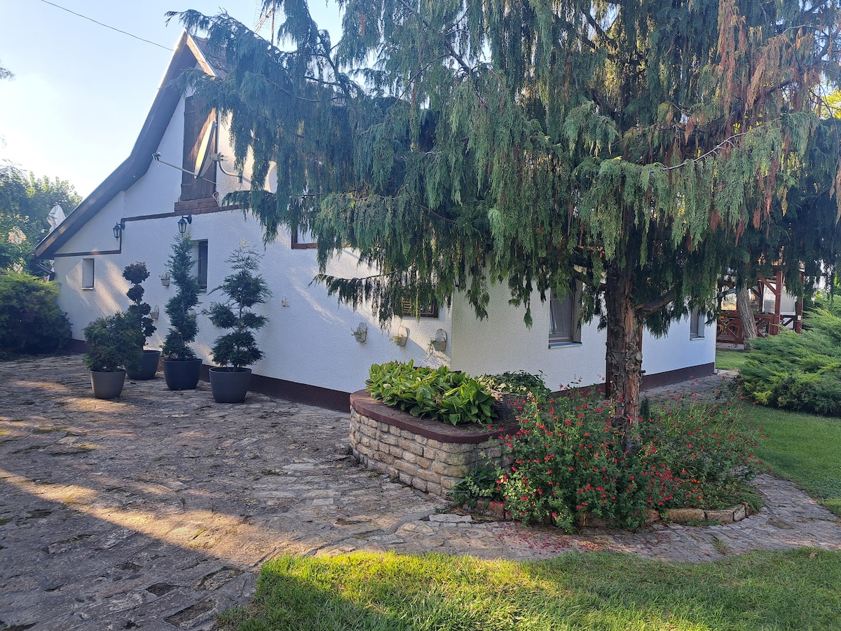 The exterior of a charming house is framed by lush greenery and mature trees. A stone pathway leads to the entrance, with planter pots arranged along the sides. Soft sunlight filters through the branches, casting gentle shadows on the stone surface.