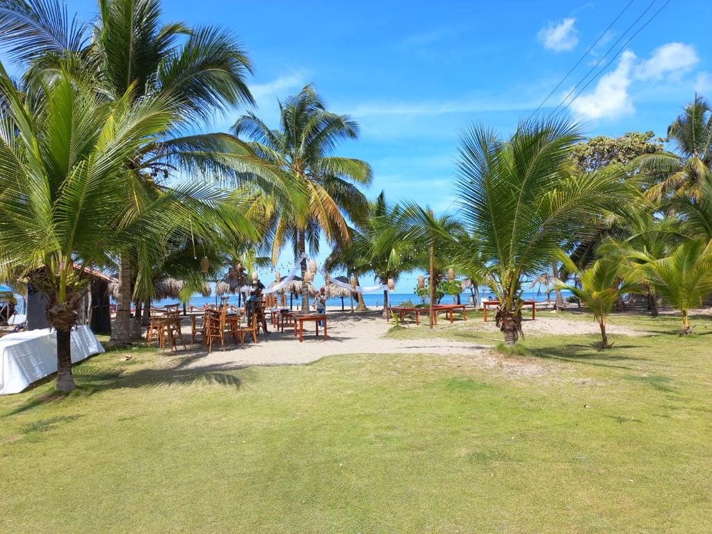A sandy area is surrounded by palm trees, with wooden tables and chairs arranged under the shade. The beach is visible in the background, showcasing the clear blue water and sky, creating an inviting outdoor space for relaxation and dining.