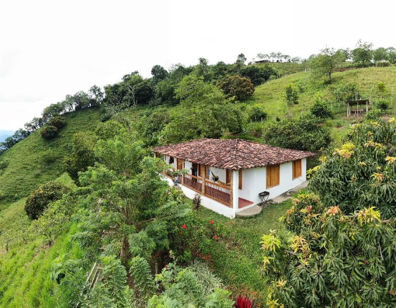 A charming single-story farmhouse is situated on a lush hillside, framed by verdant trees and plants. The roof is covered with traditional tiles, and a wide porch extends along the front, offering a sweeping view of the surrounding nature.