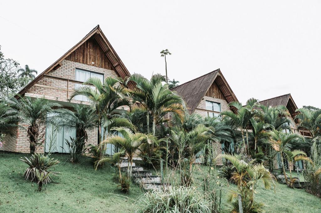A modern, two-story building features a combination of brick and wooden architecture, with large windows that allow ample natural light. The surrounding lush greenery includes palm trees and various shrubs, enhancing the serene landscape.