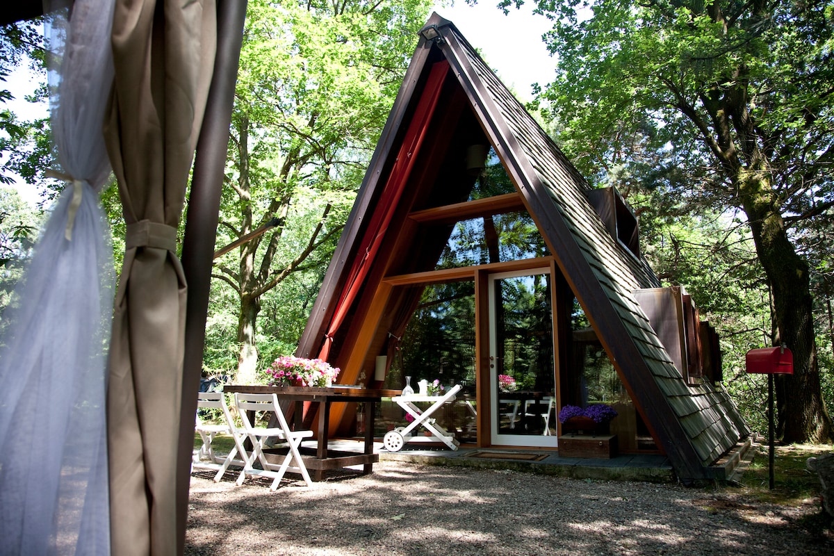 A unique A-frame cabin is framed by lush green trees. Large windows provide natural light and views of the surroundings. A wooden table with white chairs is positioned outside, accompanied by colorful flower pots. The gravel path leads to the entryway.