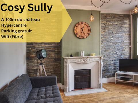 COSY SULLY Downtown/Castle