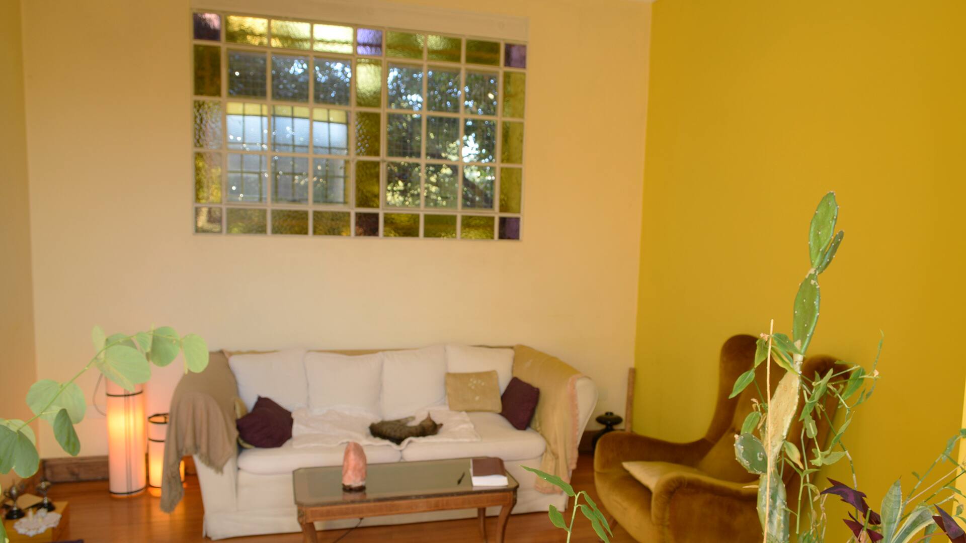 Quarto com vista para o jardim em Colegiales