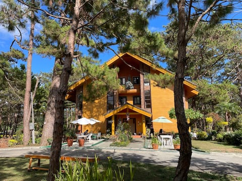 Forest Estate Lot 16 A1