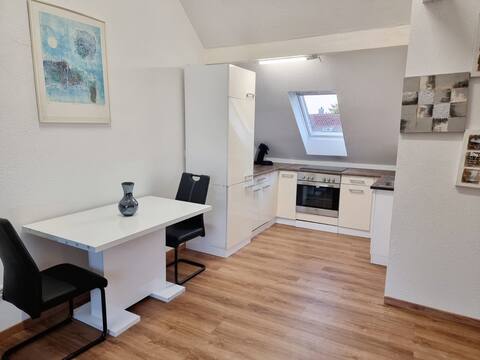 Apartment near the city center