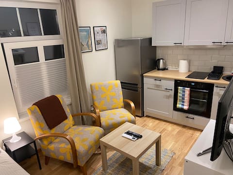 Apartments with amenities in Karlova, free parking
