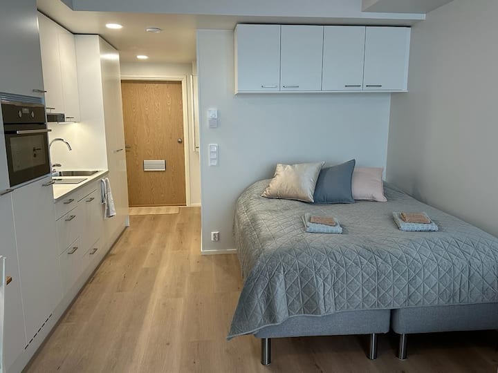 Brand new downtown apartment