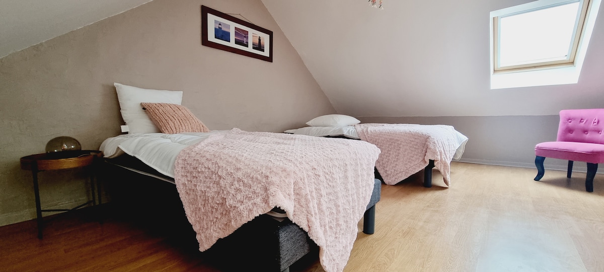 带2张单人床的复式房间 