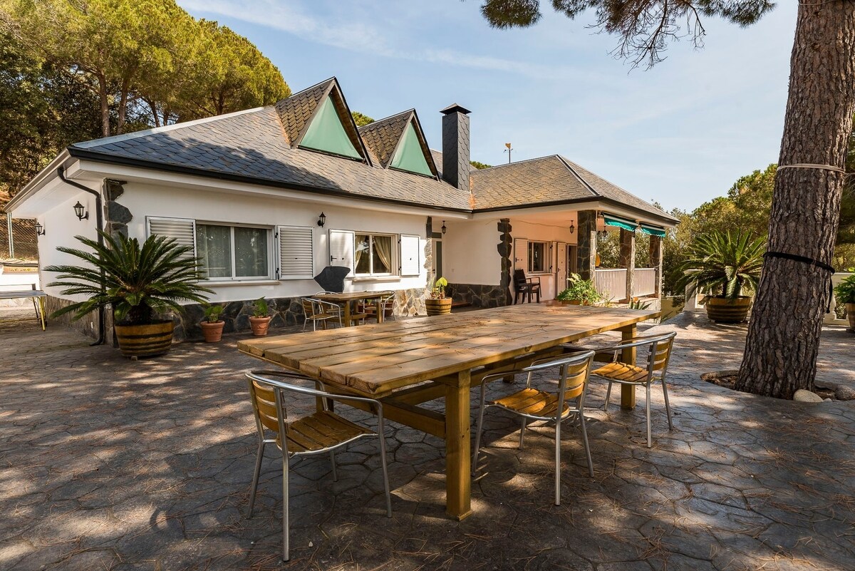 A spacious outdoor dining area features a large wooden table surrounded by metal chairs. The house showcases a modern design with a sloped roof and green accents, set against a backdrop of trees and a stone-paved patio.