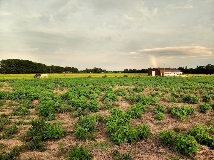 Laurinburg Vacation Rentals & Homes North Carolina, United States