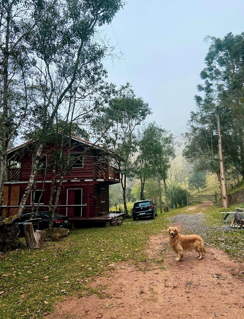 A cozy wooden chalet is nestled among trees, surrounded by a scenic landscape. A golden retriever stands on a gravel path leading to the chalet, while a parked car can be seen nearby. Soft morning light filters through the foliage.