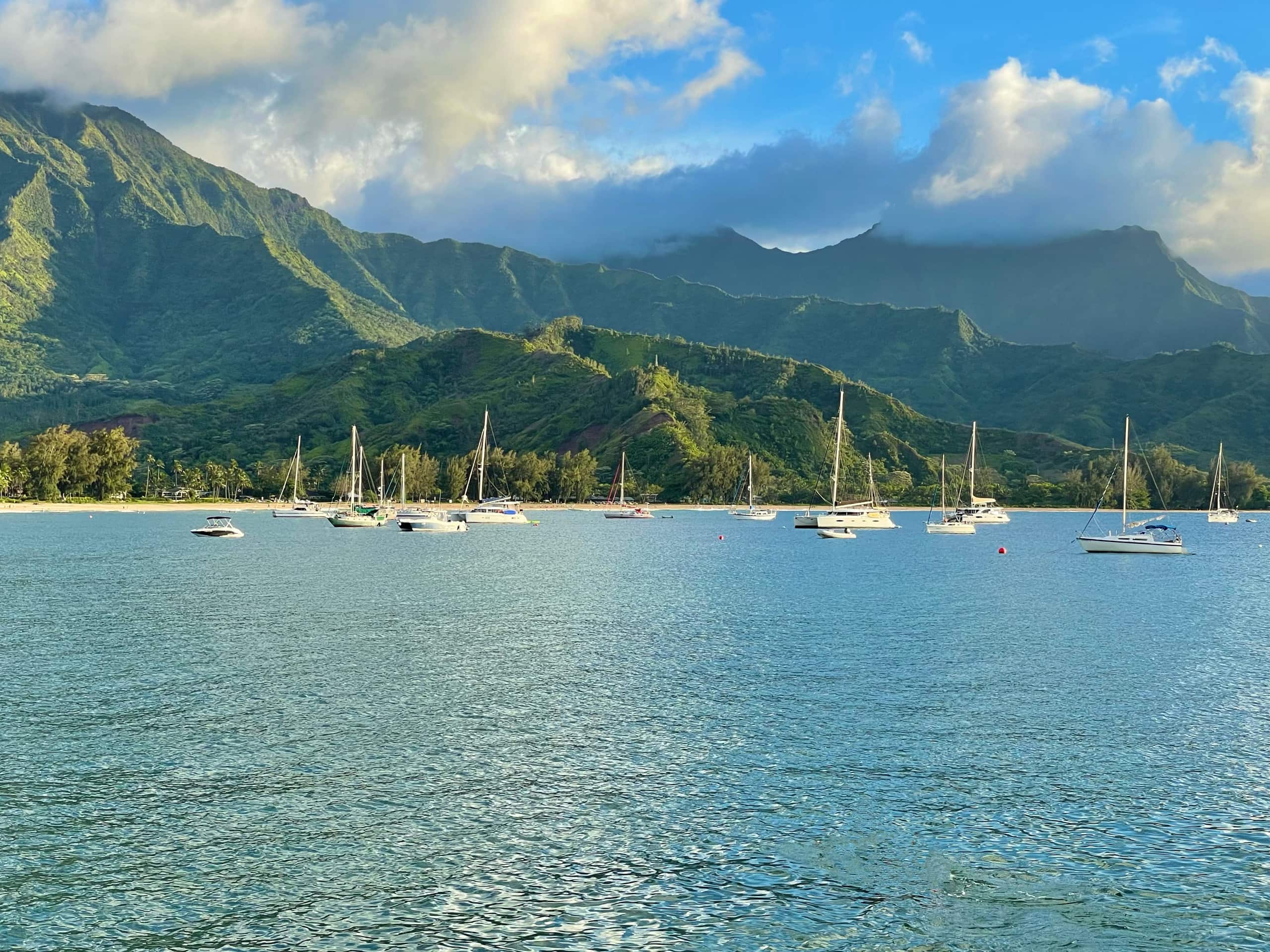 Kauai Oasis | NEW Design • Luxe, AC, Pool, Beaches - Image 44