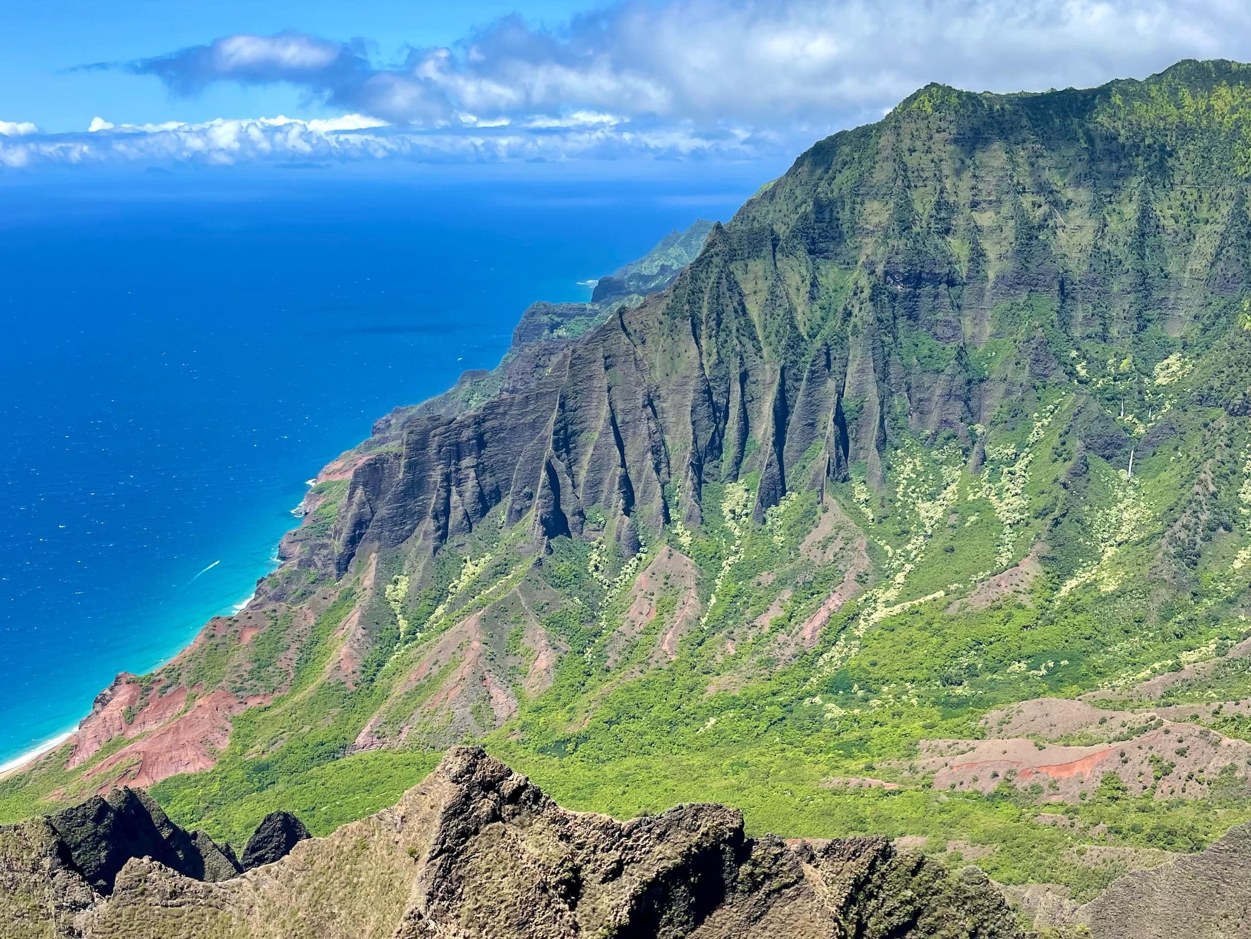 Kauai Oasis | NEW Design • Luxe, AC, Pool, Beaches - Image 48