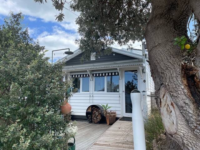 Banksia by the beach