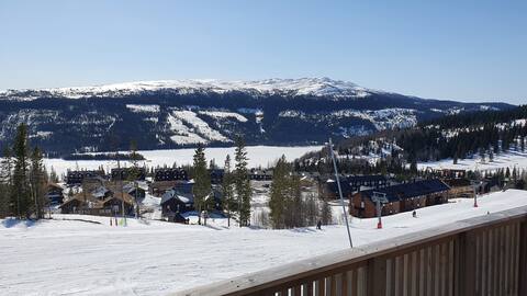 Fjällripan Åre Saddle