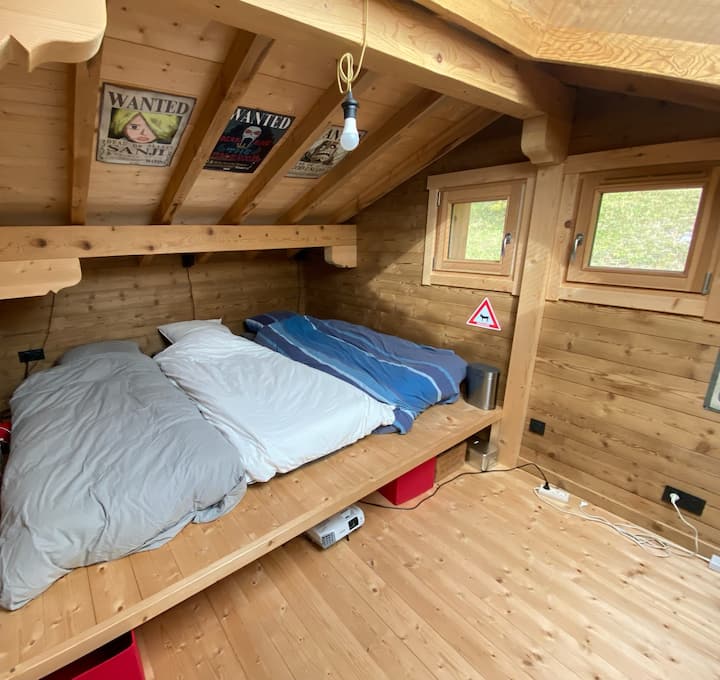 Საერთო საცხოვრებელი - სძინავს - ანტრესოლი