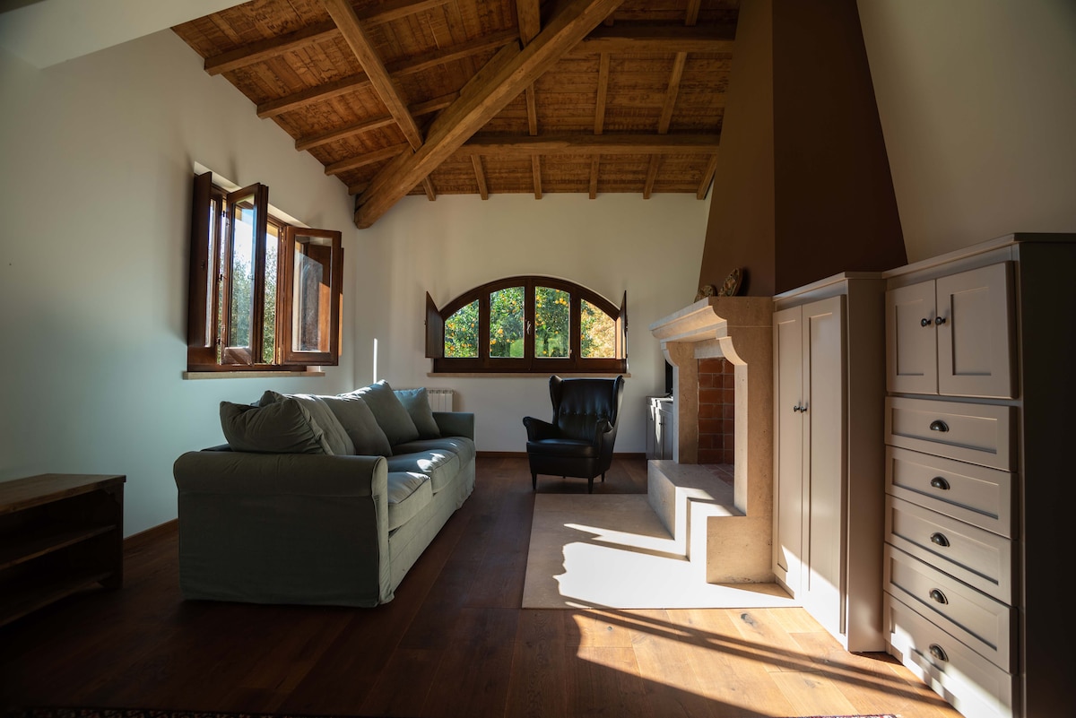 منطقة الصالة الواسعة مع مدفأة وسرير أريكة