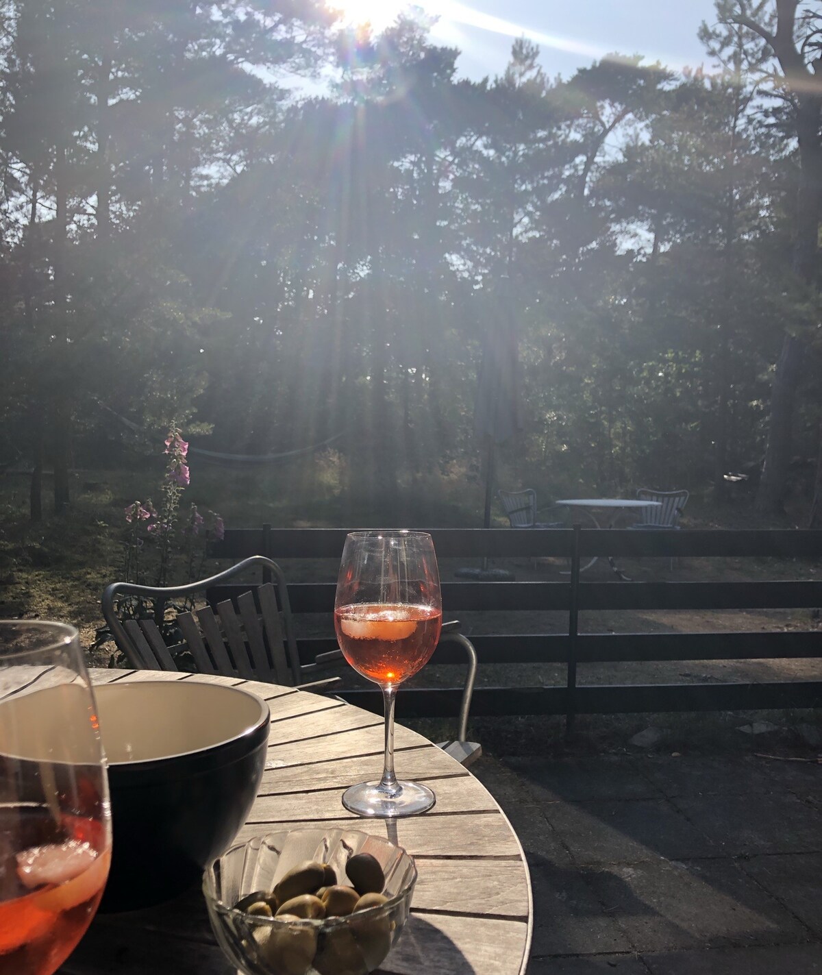A sunlit outdoor table is set with a glass of sparkling beverage and a bowl of olives, surrounded by lush greenery. In the background, a seated area and dining table are visible, partially obscured by the warm glow of sunlight filtering through the trees.