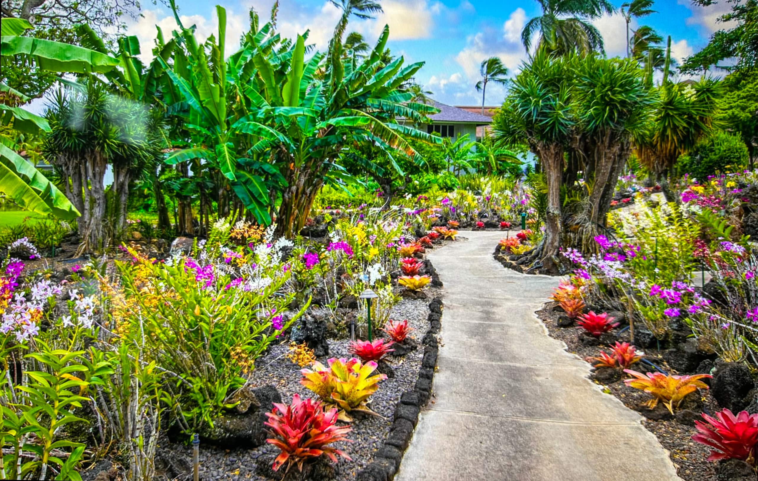 2/2 Partial Ocean View w/AC, Kiahuna Poipu Beach - Photo 47