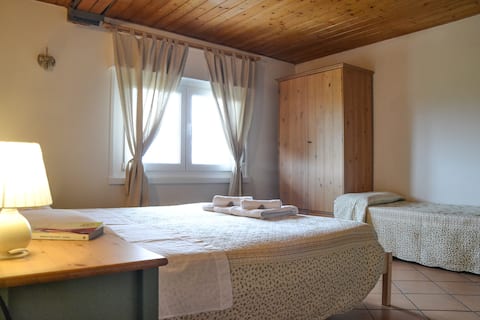 Scoiattolo Apartment