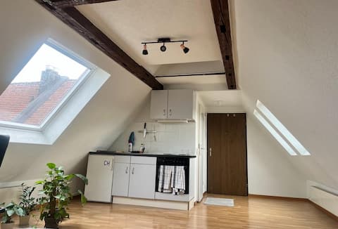 Top Airbnb: Comfortable Place, in the City in Alt Wiedikon