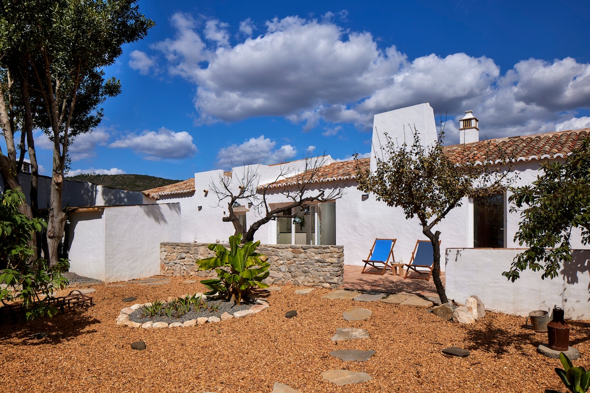 A charming outdoor area features landscaped gravel surrounding a stone pathway. Two lounge chairs are positioned under a tree, inviting relaxation. The whitewashed building, displaying a traditional Algarve style, is complemented by a few ornamental plants, enhancing the serene rural setting.