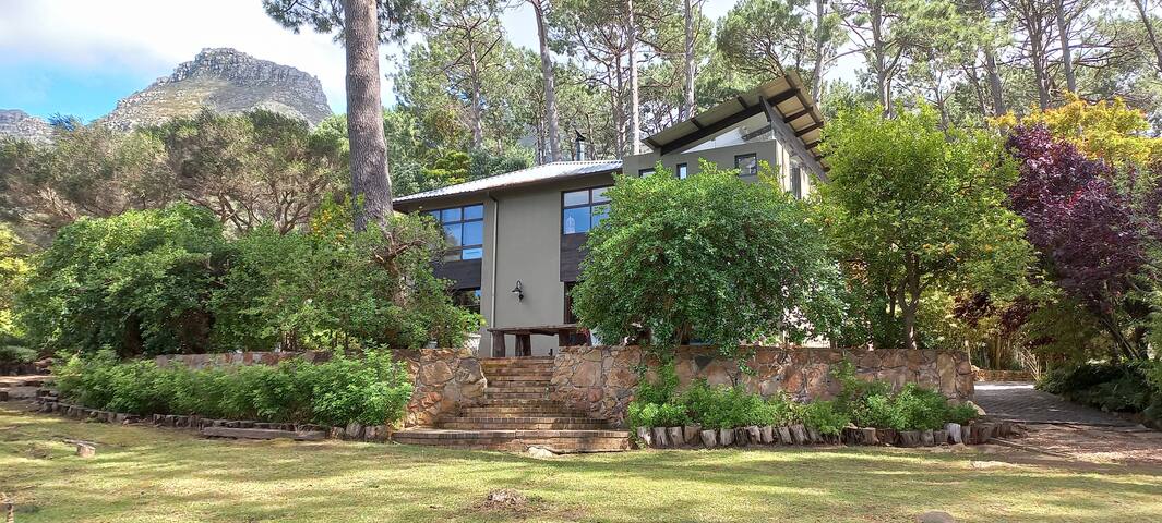 Shalimar – Newly Renovated – With Pool gallery image 4