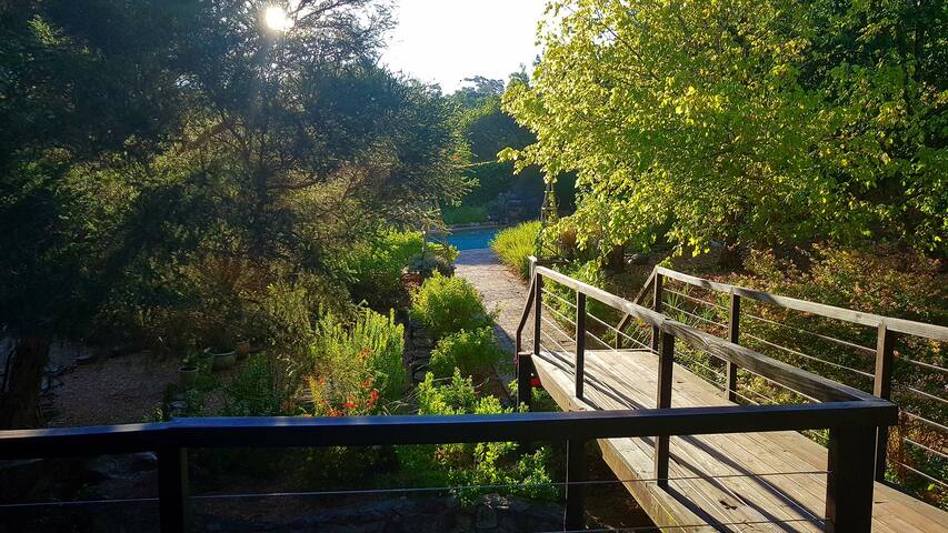 Shalimar – Newly Renovated – With Pool gallery image 3