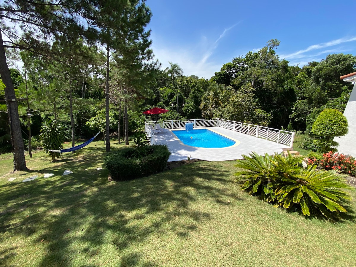 A serene outdoor space is showcased, featuring a private swimming pool surrounded by lush greenery. Several sun loungers can be seen near the water, while a vibrant red umbrella offers shade. The area is complemented by well-maintained grass and tropical plants.