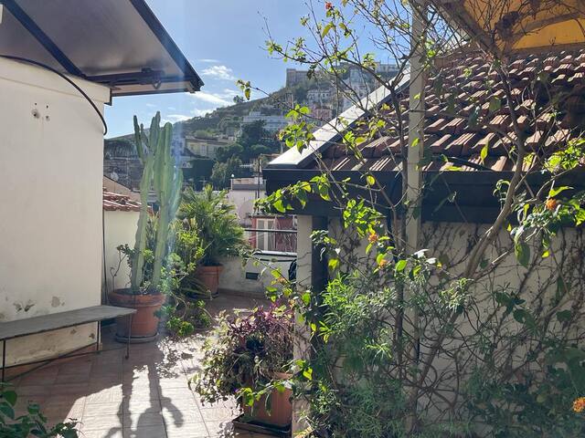 Terraced Panoramic Rooftop in the Historic Center gallery image 5