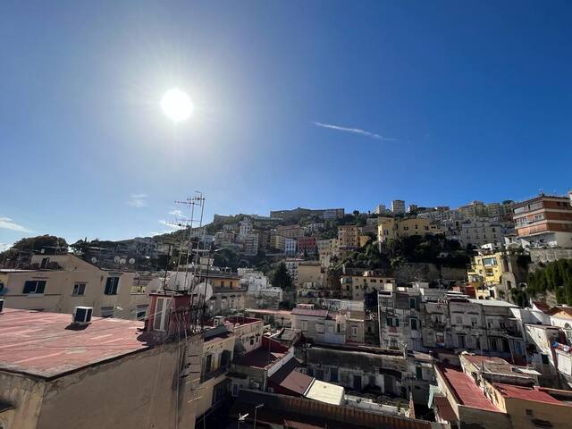 Terraced Panoramic Rooftop in the Historic Center gallery image 2