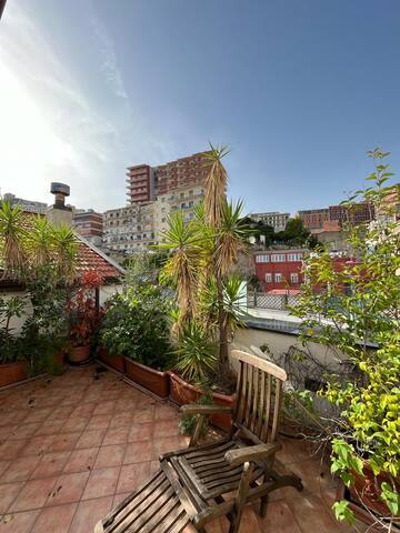Terraced Panoramic Rooftop in the Historic Center gallery image 4