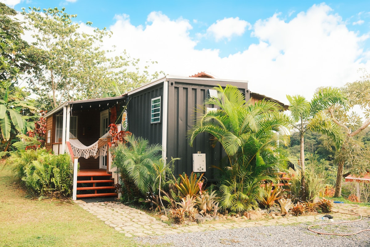 A container house emerges amidst lush tropical greenery. The entrance features a wooden staircase leading to a porch adorned with colorful hammocks. A variety of vibrant plants surround the foundation, complemented by a clear blue sky above.