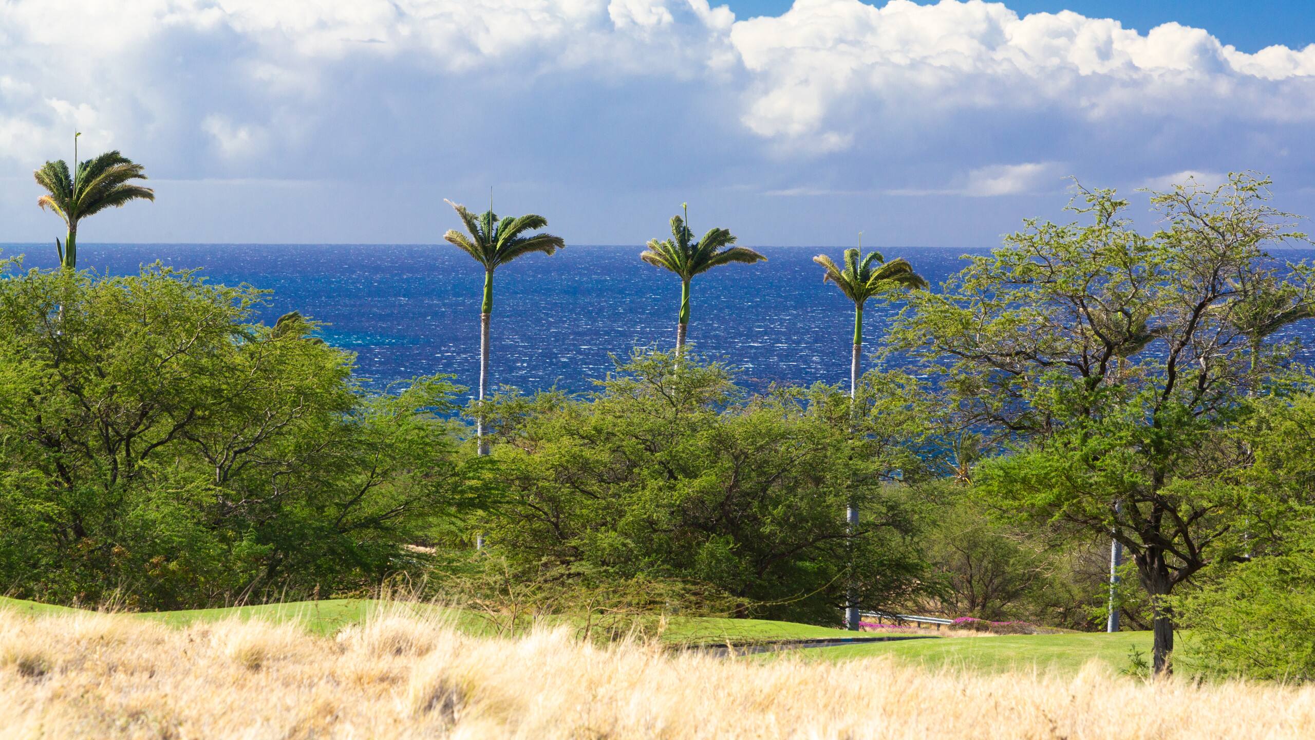 Townhouse in Waimea · ★4.8 · 3 bedrooms · 4 beds · 3.5 baths - Image 61