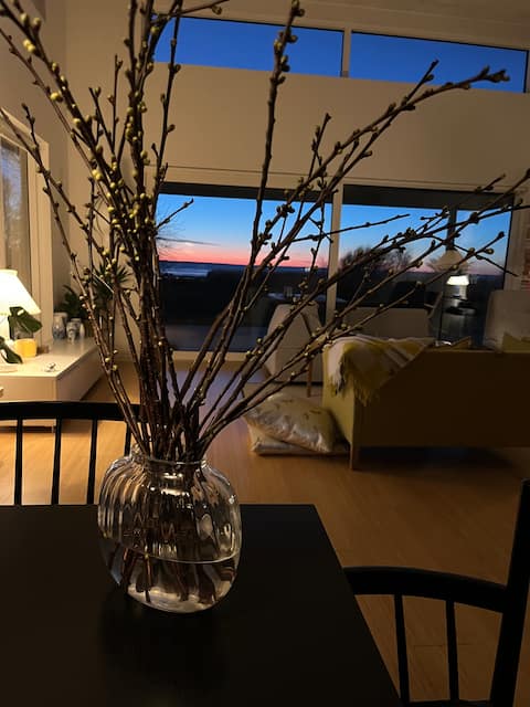 Beautiful house
Sea views