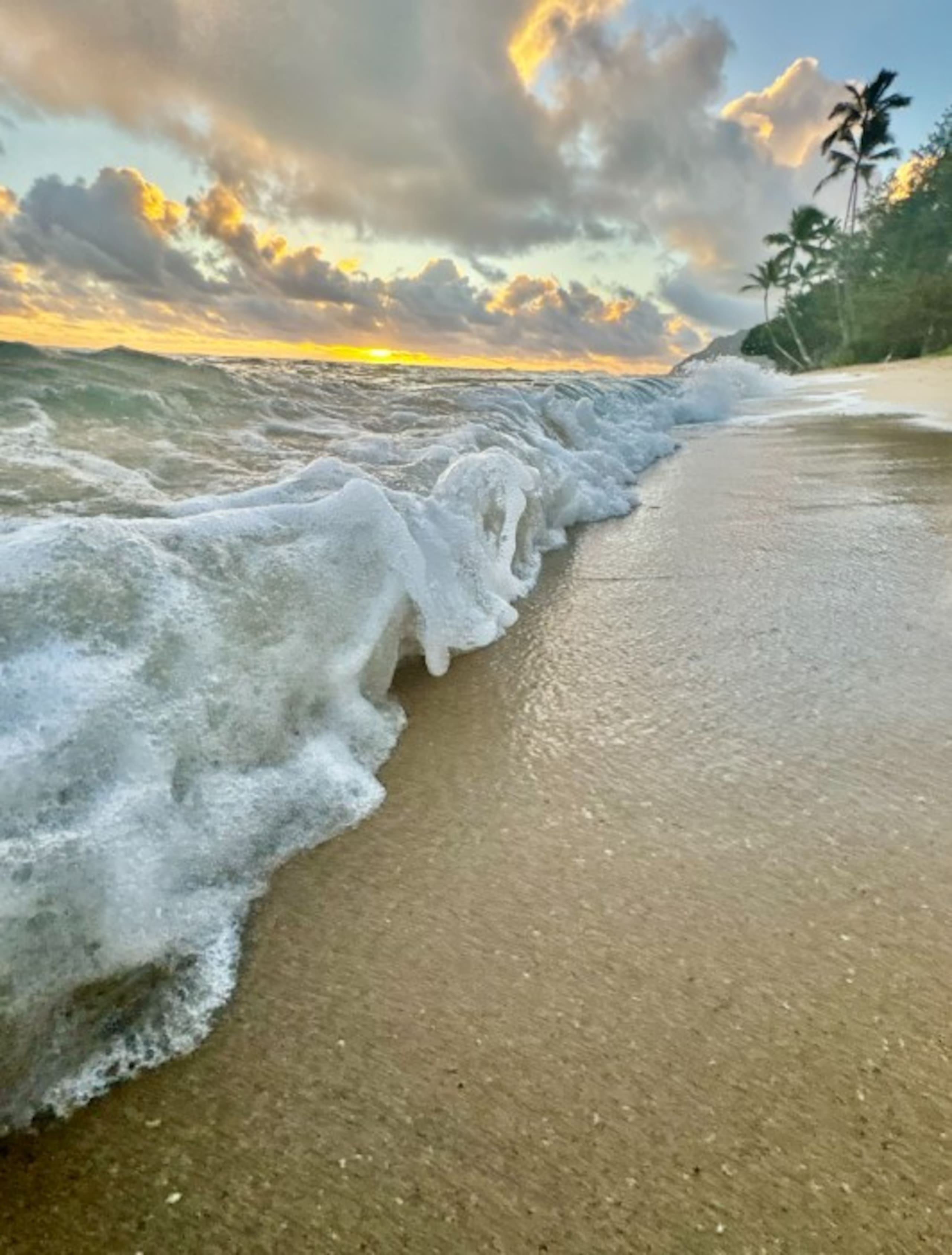 Aloha Paradise Beach - Image 42