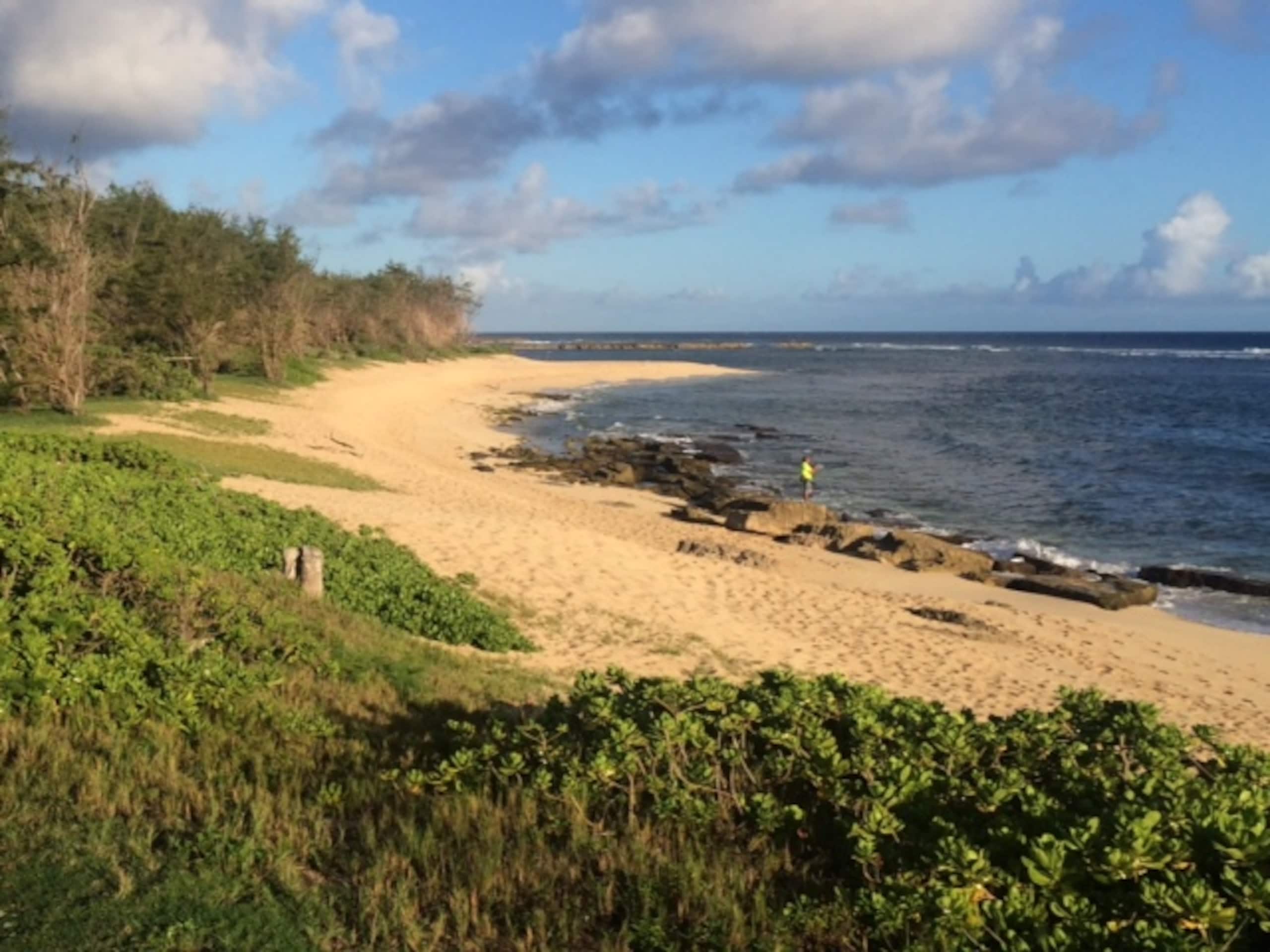 Aloha Paradise Beach - Image 37