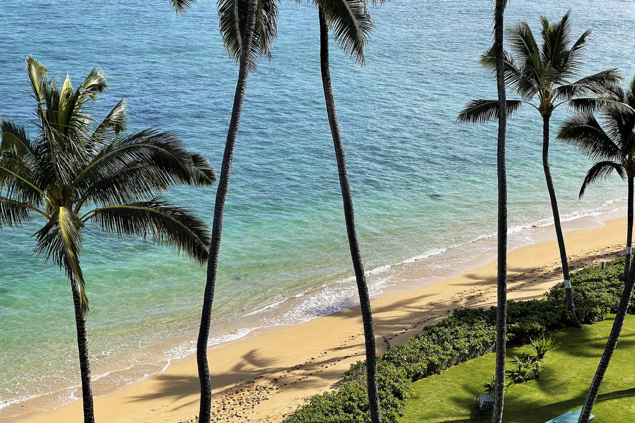 Aloha Paradise Beach - Image 20