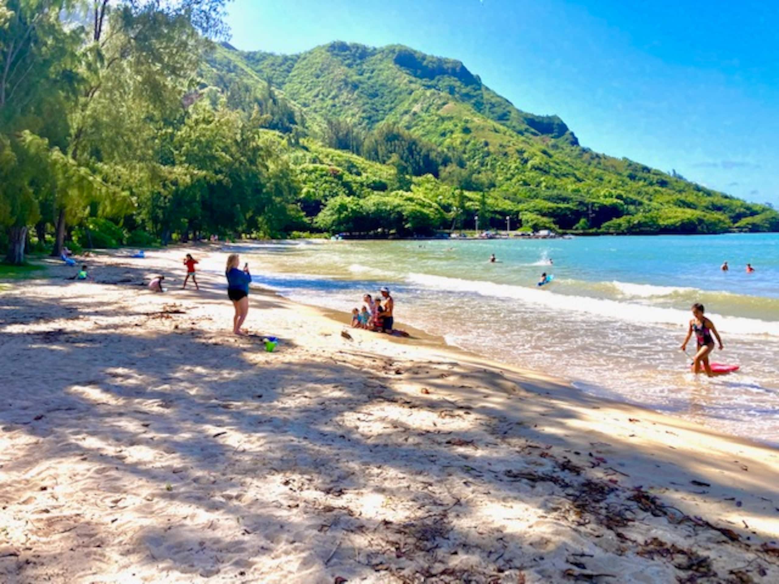 Aloha Paradise Beach - Image 33