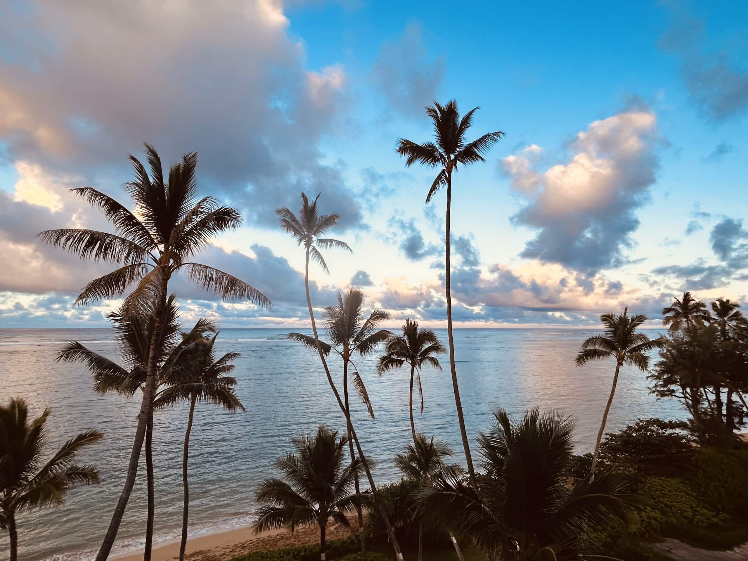 Aloha Paradise Beach - Image 19
