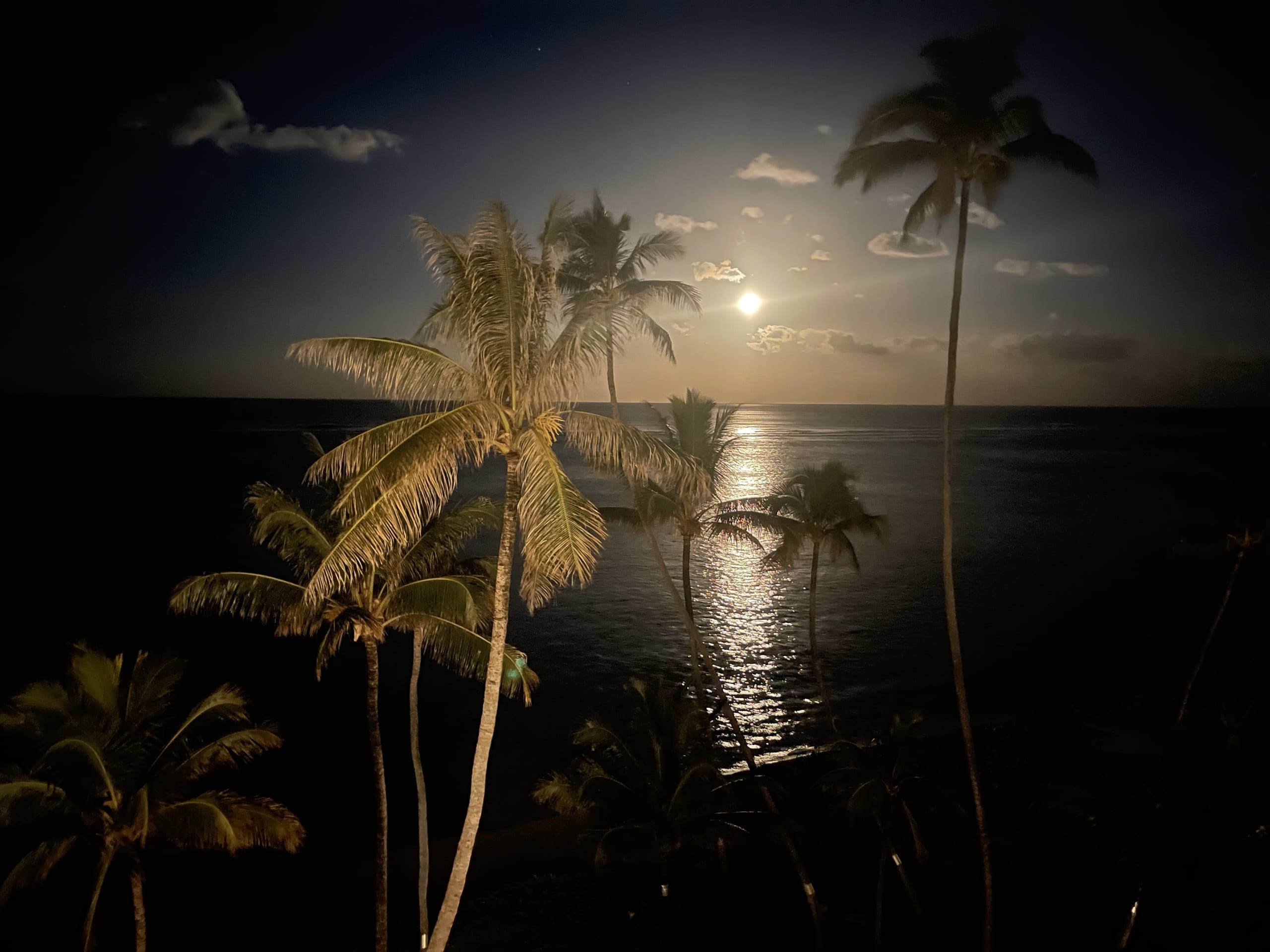 Aloha Paradise Beach - Image 24