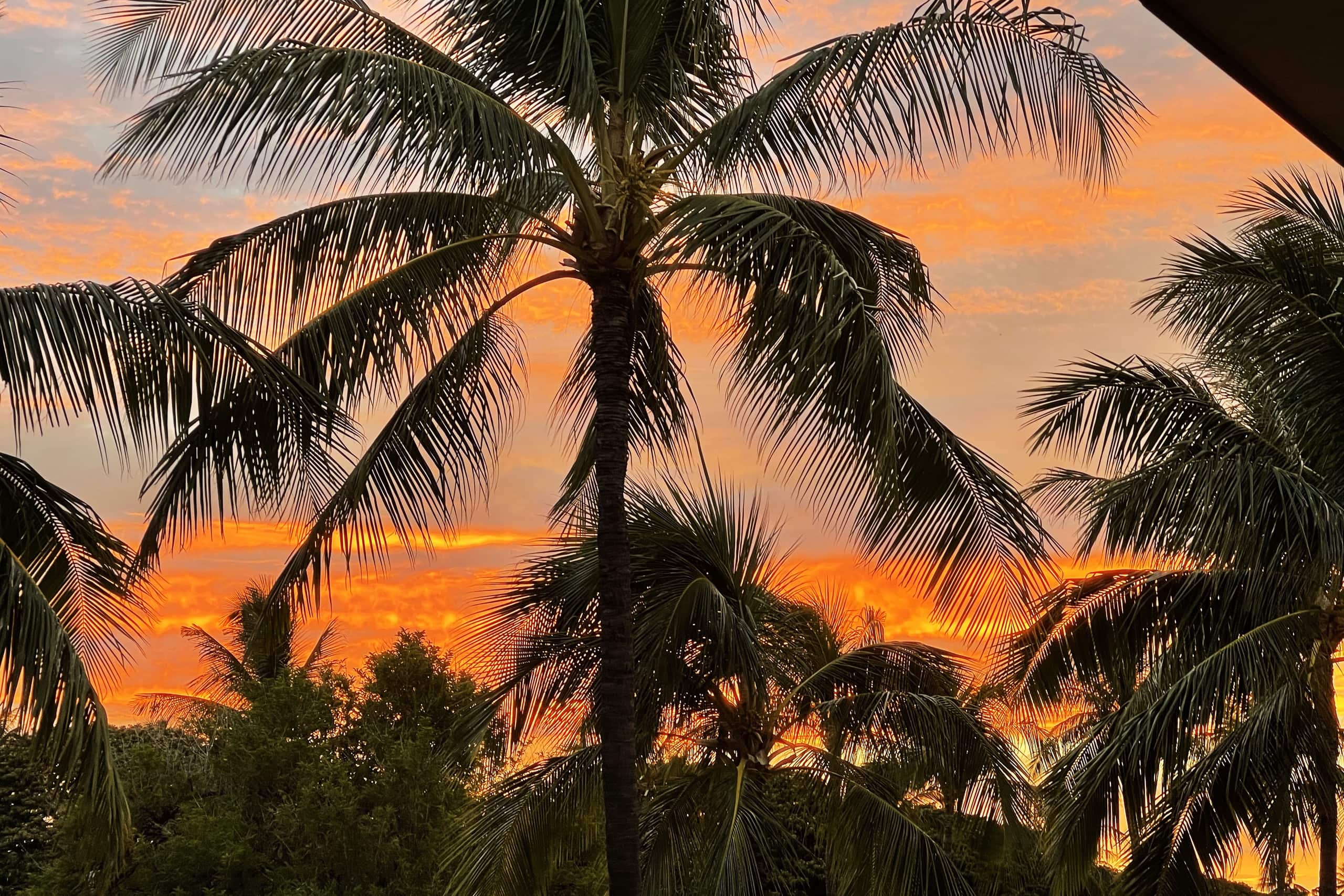 Aloha Paradise Beach - Image 35
