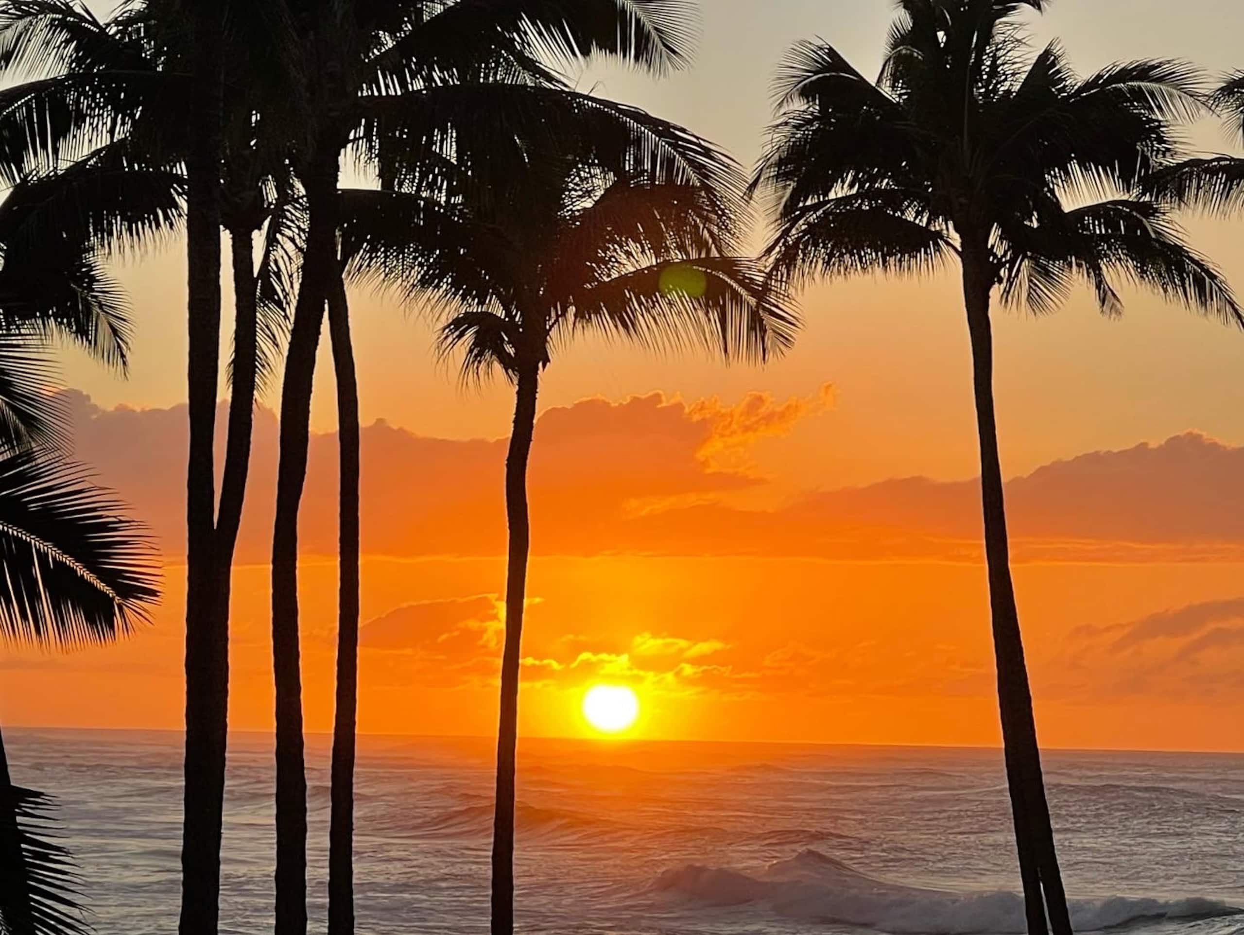 Aloha Paradise Beach - Image 36